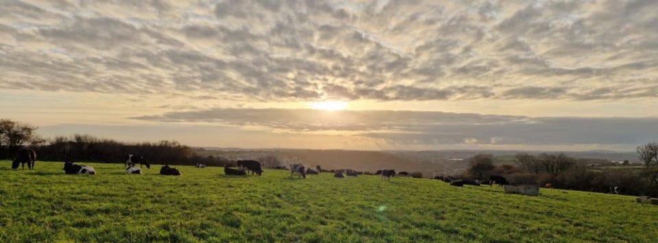 Porsham Farm