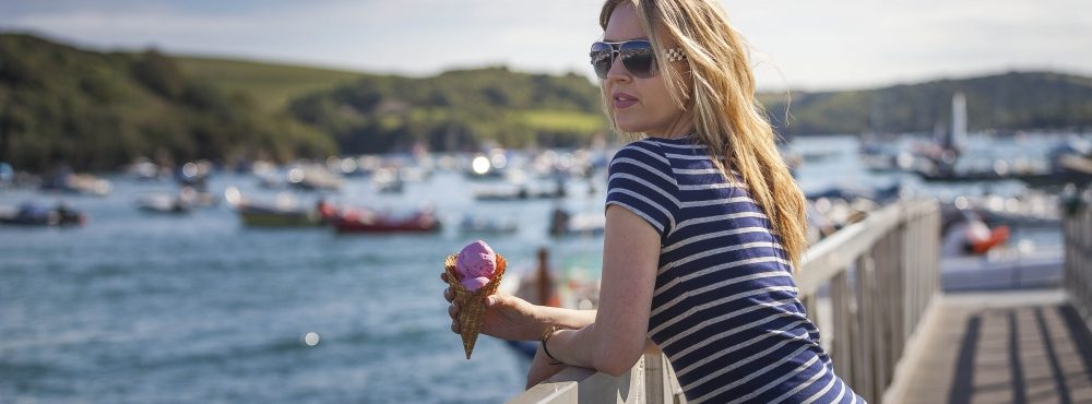 Salcombe Dairy Ice Cream