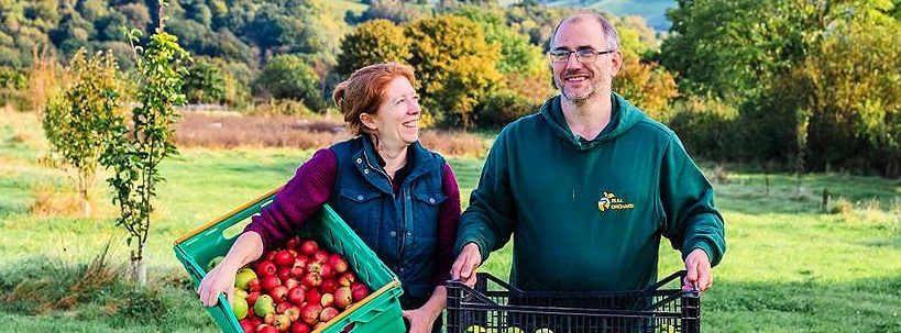Rull Orchard