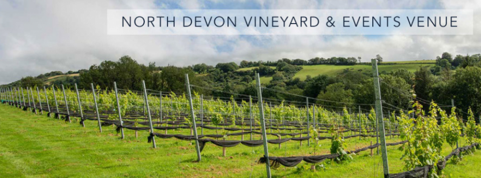 Venn Valley Vineyard
