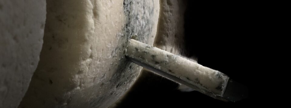 Ticklemore Cheese Dairy