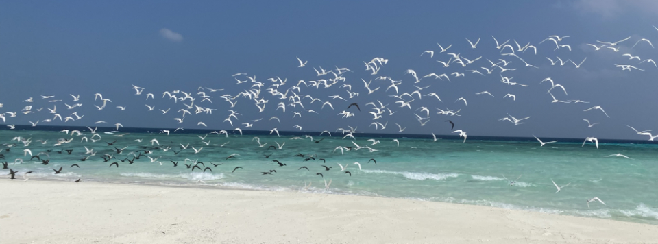 Paul Clayton Consultancy