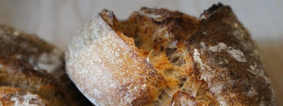 Rise Bakery Devon